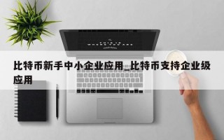 比特币新手中小企业应用_比特币支持企业级应用