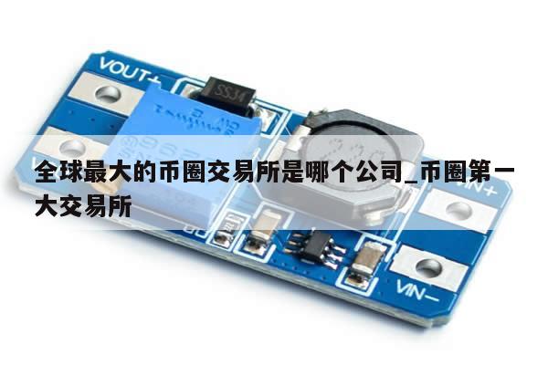 全球最大的币圈交易所是哪个公司_币圈第一大交易所-第1张图片-币选网