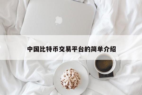 中国比特币交易平台的简单介绍-第1张图片-币选网