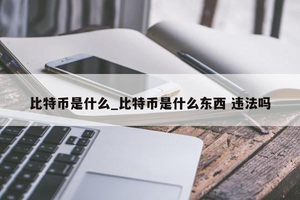比特币是什么_比特币是什么东西 违法吗-第1张图片-币选网