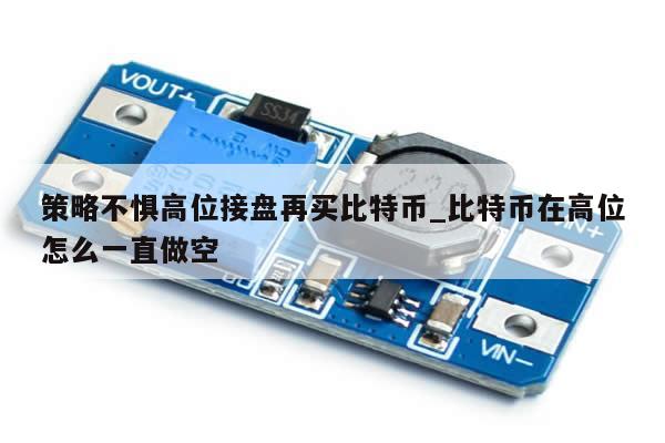 策略不惧高位接盘再买比特币_比特币在高位怎么一直做空-第1张图片-币选网