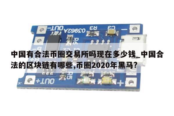 中国有合法币圈交易所吗现在多少钱_中国合法的区块链有哪些,币圈2020年黑马?-第1张图片-币选网