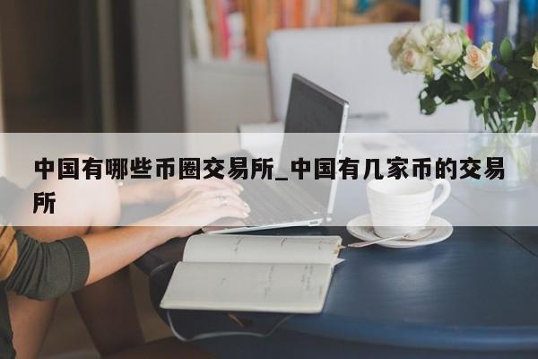 中国有哪些币圈交易所_中国有几家币的交易所-第1张图片-币选网