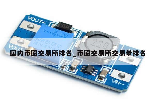 国内币圈交易所排名_币圈交易所交易量排名-第1张图片-币选网