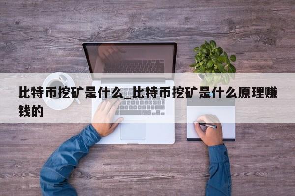 比特币挖矿是什么_比特币挖矿是什么原理赚钱的-第1张图片-币选网