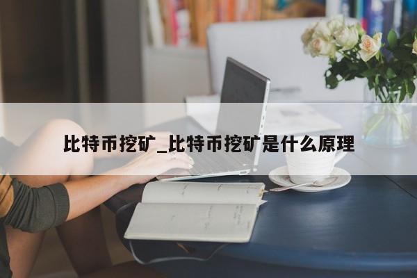 比特币挖矿_比特币挖矿是什么原理-第1张图片-币选网