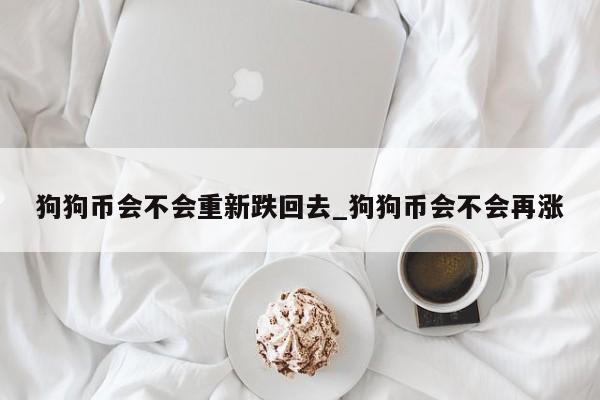 狗狗币会不会重新跌回去_狗狗币会不会再涨-第1张图片-币选网