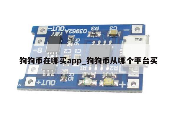 狗狗币在哪买app_狗狗币从哪个平台买-第1张图片-币选网
