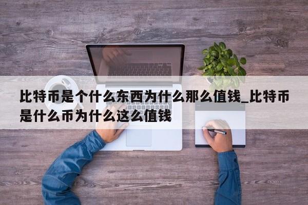 比特币是个什么东西为什么那么值钱_比特币是什么币为什么这么值钱-第1张图片-币选网