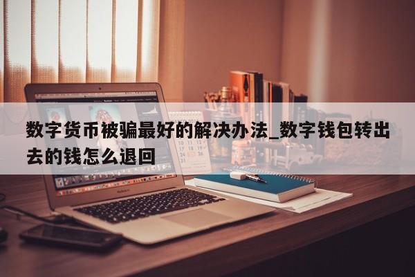 数字货币被骗最好的解决办法_数字钱包转出去的钱怎么退回-第1张图片-币选网