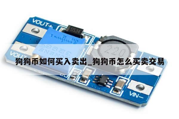 狗狗币如何买入卖出_狗狗币怎么买卖交易-第1张图片-币选网