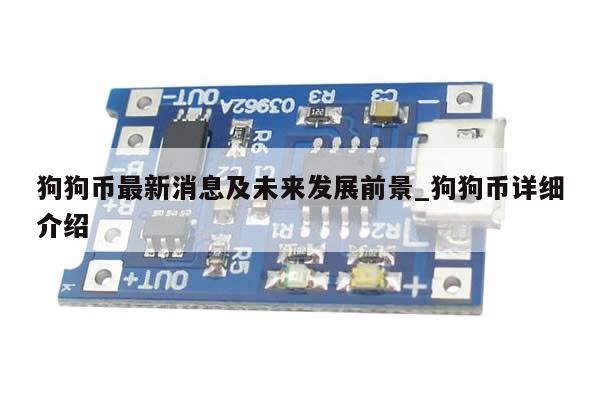 狗狗币最新消息及未来发展前景_狗狗币详细介绍-第1张图片-币选网