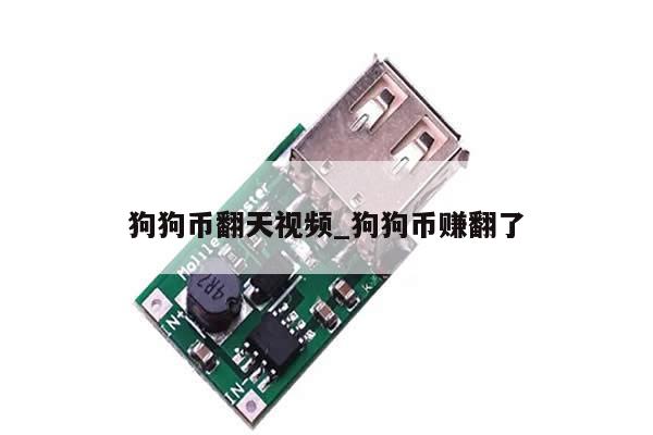 狗狗币翻天视频_狗狗币赚翻了-第1张图片-币选网