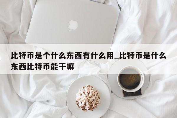 比特币是个什么东西有什么用_比特币是什么东西比特币能干嘛-第1张图片-币选网