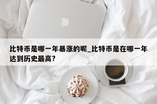 比特币是哪一年暴涨的呢_比特币是在哪一年达到历史最高?-第1张图片-币选网