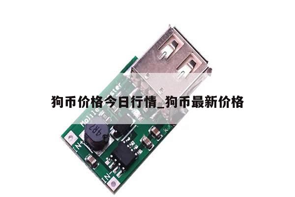 狗币价格今日行情_狗币最新价格-第1张图片-币选网