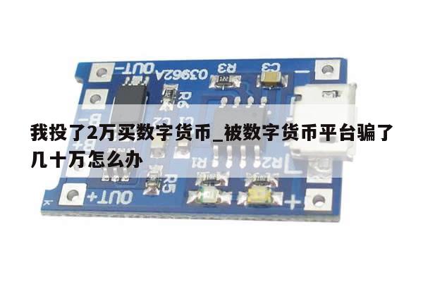 我投了2万买数字货币_被数字货币平台骗了几十万怎么办-第1张图片-币选网