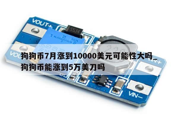狗狗币7月涨到10000美元可能性大吗_狗狗币能涨到5万美刀吗-第1张图片-币选网