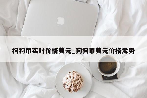 狗狗币实时价格美元_狗狗币美元价格走势-第1张图片-币选网