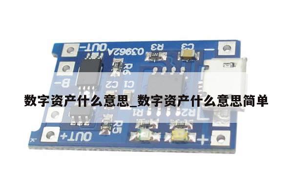 数字资产什么意思_数字资产什么意思简单-第1张图片-币选网