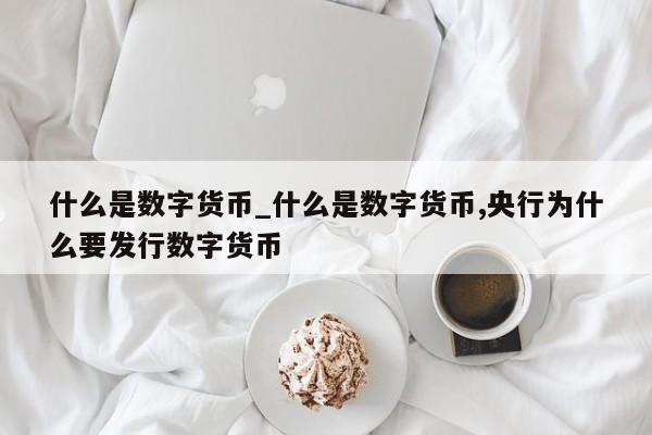 什么是数字货币_什么是数字货币,央行为什么要发行数字货币-第1张图片-币选网