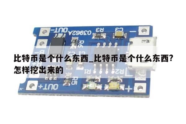 比特币是个什么东西_比特币是个什么东西?怎样挖出来的-第1张图片-币选网