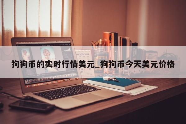 狗狗币的实时行情美元_狗狗币今天美元价格-第1张图片-币选网