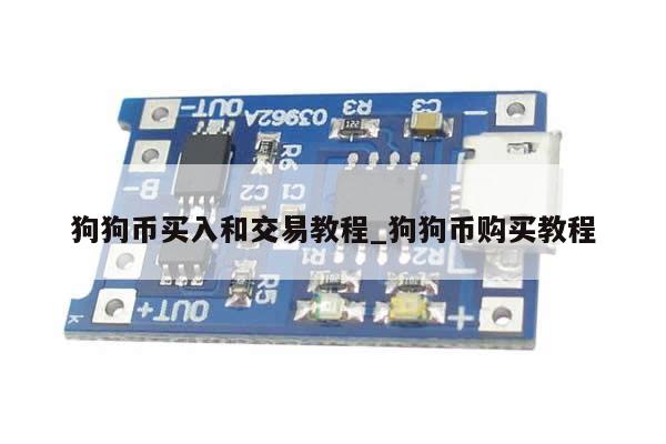 狗狗币买入和交易教程_狗狗币购买教程-第1张图片-币选网