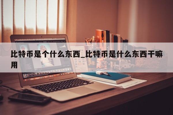 比特币是个什么东西_比特币是什么东西干嘛用-第1张图片-币选网