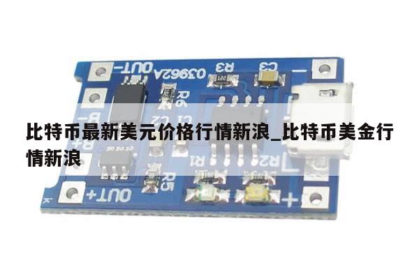 比特币最新美元价格行情新浪_比特币美金行情新浪-第1张图片-币选网