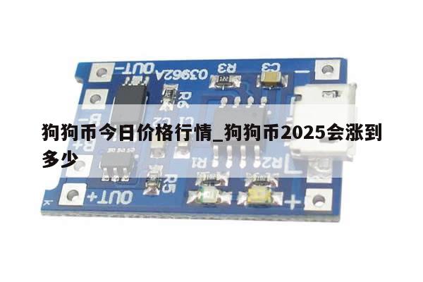 狗狗币今日价格行情_狗狗币2025会涨到多少-第1张图片-币选网