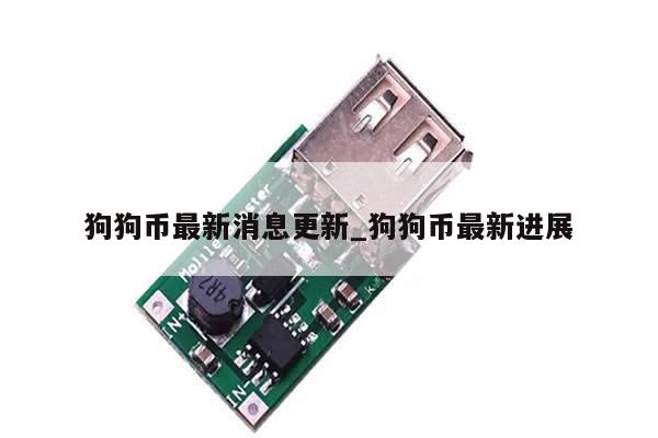 狗狗币最新消息更新_狗狗币最新进展-第1张图片-币选网