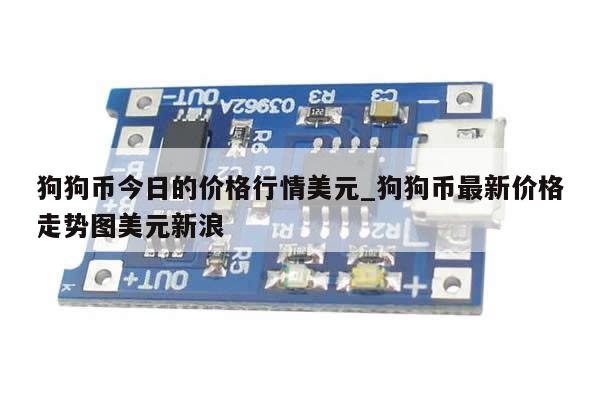 狗狗币今日的价格行情美元_狗狗币最新价格走势图美元新浪-第1张图片-币选网