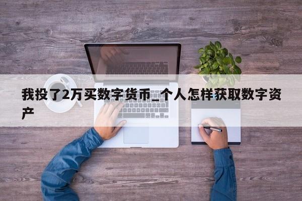 我投了2万买数字货币_个人怎样获取数字资产-第1张图片-币选网