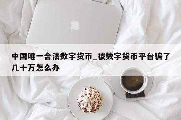 中国唯一合法数字货币_被数字货币平台骗了几十万怎么办-第1张图片-币选网