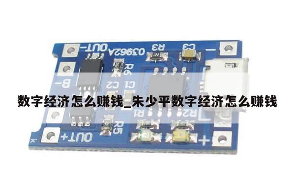 数字经济怎么赚钱_朱少平数字经济怎么赚钱-第1张图片-币选网