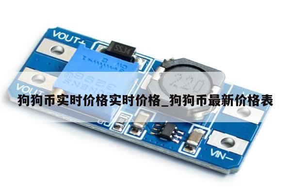 狗狗币实时价格实时价格_狗狗币最新价格表-第1张图片-币选网