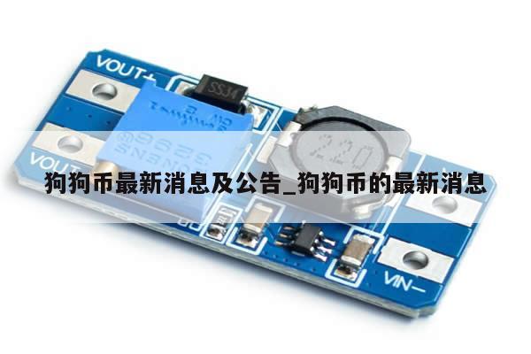 狗狗币最新消息及公告_狗狗币的最新消息-第1张图片-币选网