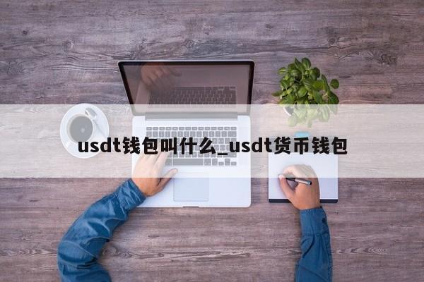 usdt钱包叫什么_usdt货币钱包-第1张图片-币选网