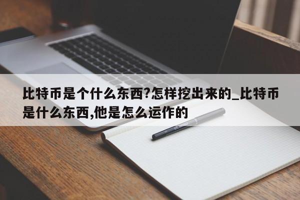 比特币是个什么东西?怎样挖出来的_比特币是什么东西,他是怎么运作的-第1张图片-币选网