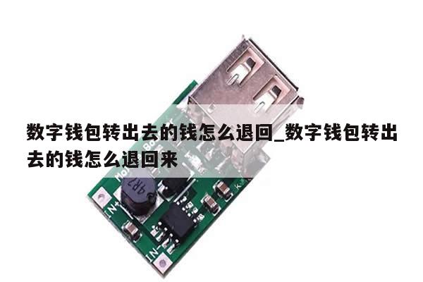 数字钱包转出去的钱怎么退回_数字钱包转出去的钱怎么退回来-第1张图片-币选网