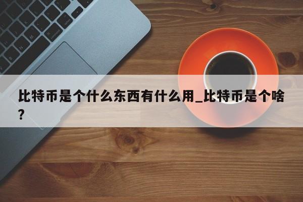 比特币是个什么东西有什么用_比特币是个啥?-第1张图片-币选网