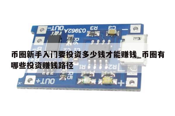 币圈新手入门要投资多少钱才能赚钱_币圈有哪些投资赚钱路径-第1张图片-币选网