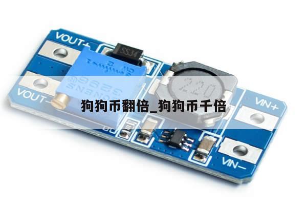 狗狗币翻倍_狗狗币千倍-第1张图片-币选网