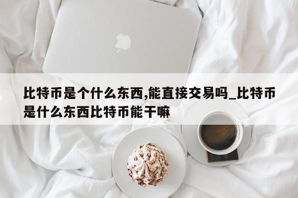 比特币是个什么东西,能直接交易吗_比特币是什么东西比特币能干嘛-第1张图片-币选网