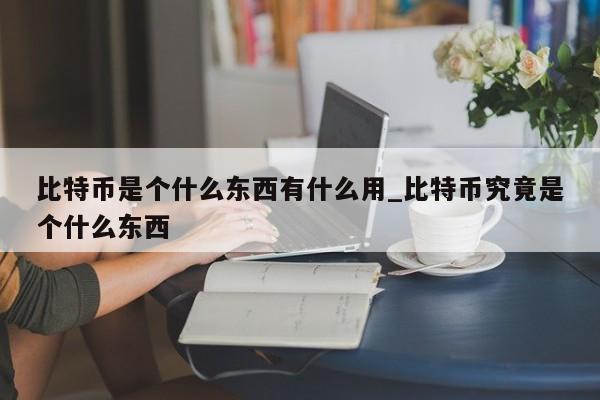 比特币是个什么东西有什么用_比特币究竟是个什么东西-第1张图片-币选网
