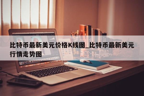 比特币最新美元价格K线图_比特币最新美元行情走势图-第1张图片-币选网