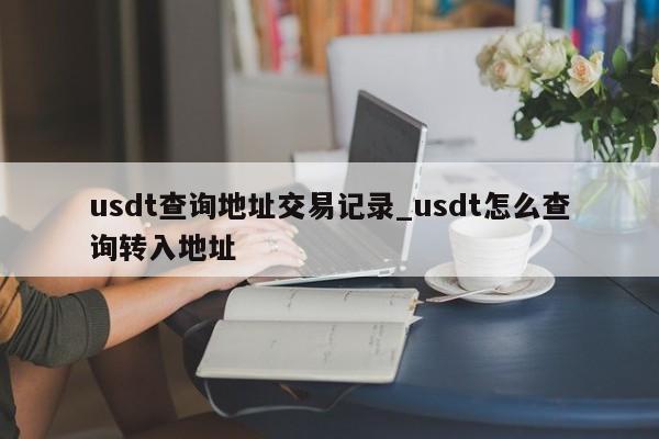 usdt查询地址交易记录_usdt怎么查询转入地址-第1张图片-币选网