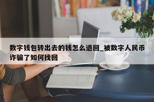 数字钱包转出去的钱怎么退回_被数字人民币诈骗了如何找回-第1张图片-币选网