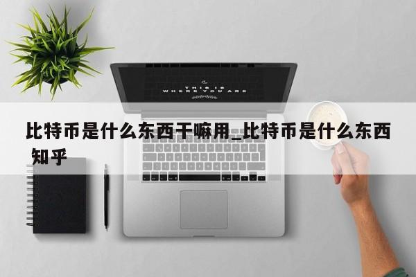 比特币是什么东西干嘛用_比特币是什么东西 知乎-第1张图片-币选网